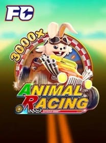 toyotapg Brasil App de cassino